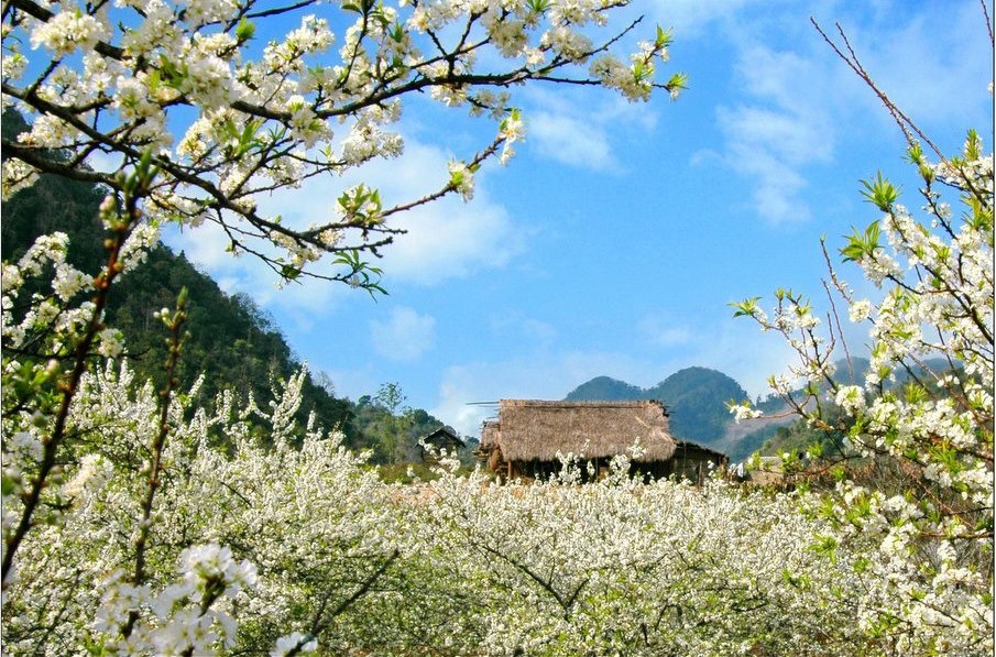[-]Bắc[-]Bộ[-]và[-]Bắc[-]Trung[-]Bộ[-]có[-]mưa[-]và[-]sương[-]mù[-]vào[-]sáng[-]sớm[-]
